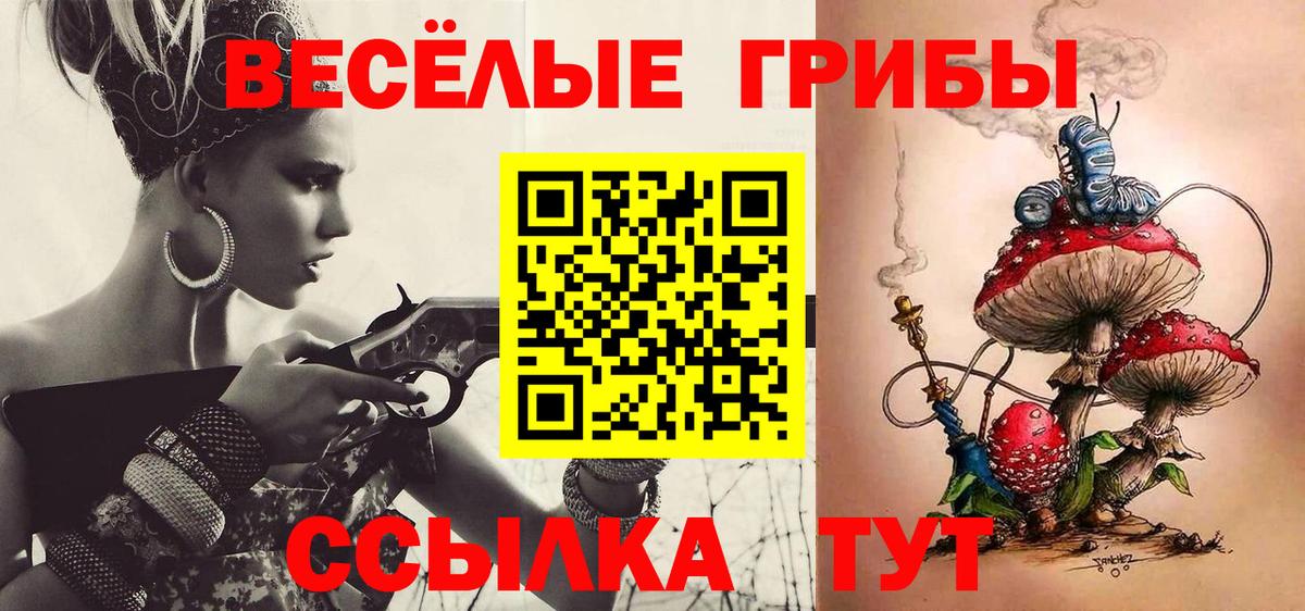 Псилоцибиновые грибы Psilocybe Рославль