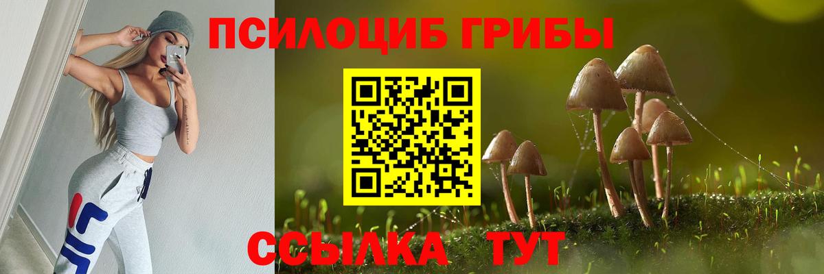 Псилоцибиновые грибы MAGIC MUSHROOMS  Вход с VPN  Рославль 